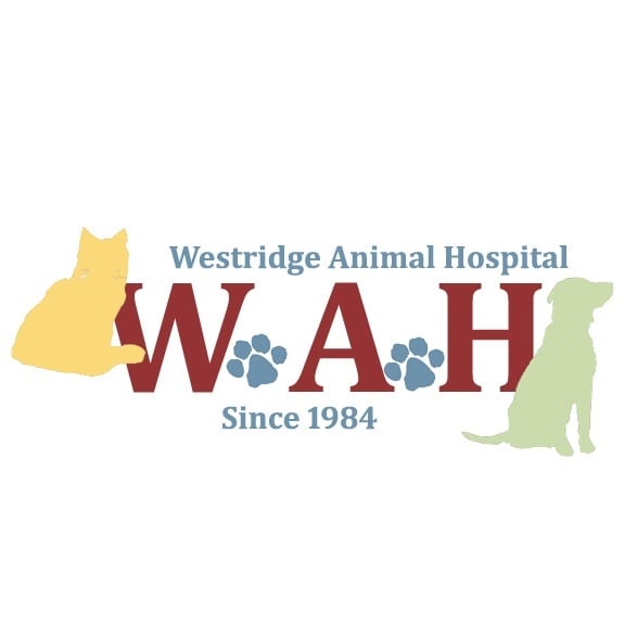 Westridge Animal Hospital Veterinarians 9911 Camp Bowie W, Fort