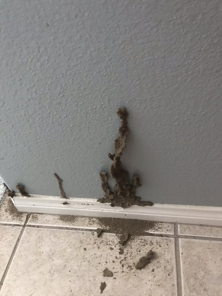 ATAC Exterminators