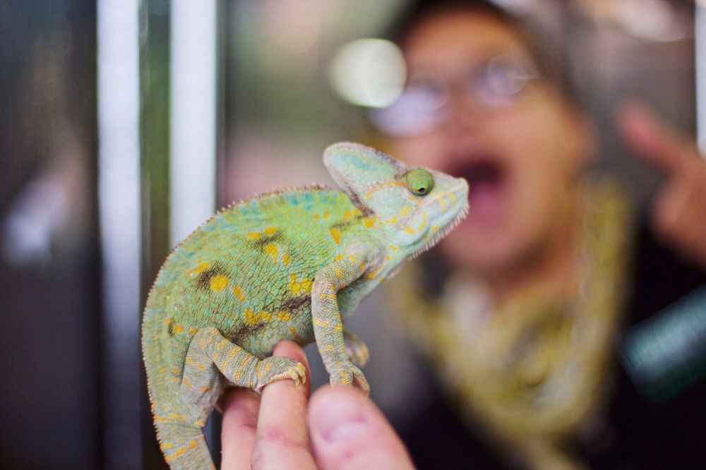 LLLReptile & Supply Co, Inc 117 Photos & 149 Reviews Pet Stores