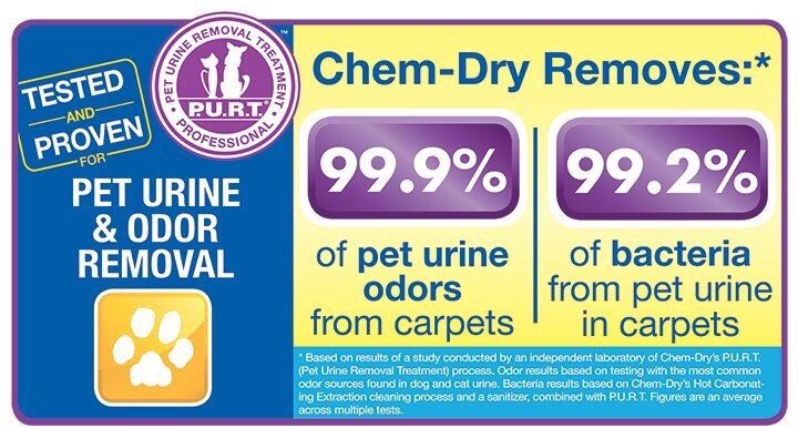 image of business VIP Chem Dry