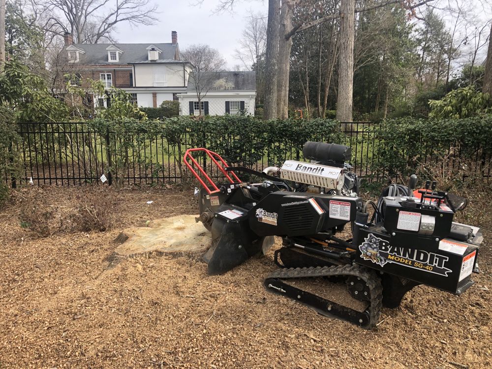 Always Grinding Stump Services