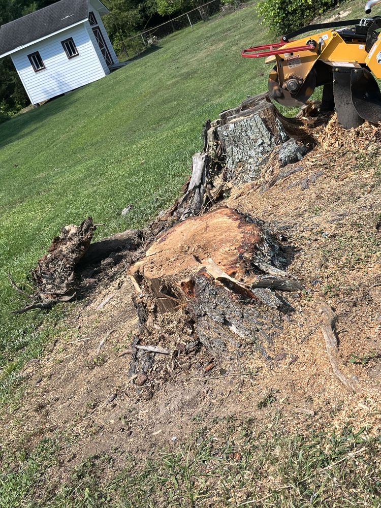 Wades Mowing and Stump Grinding