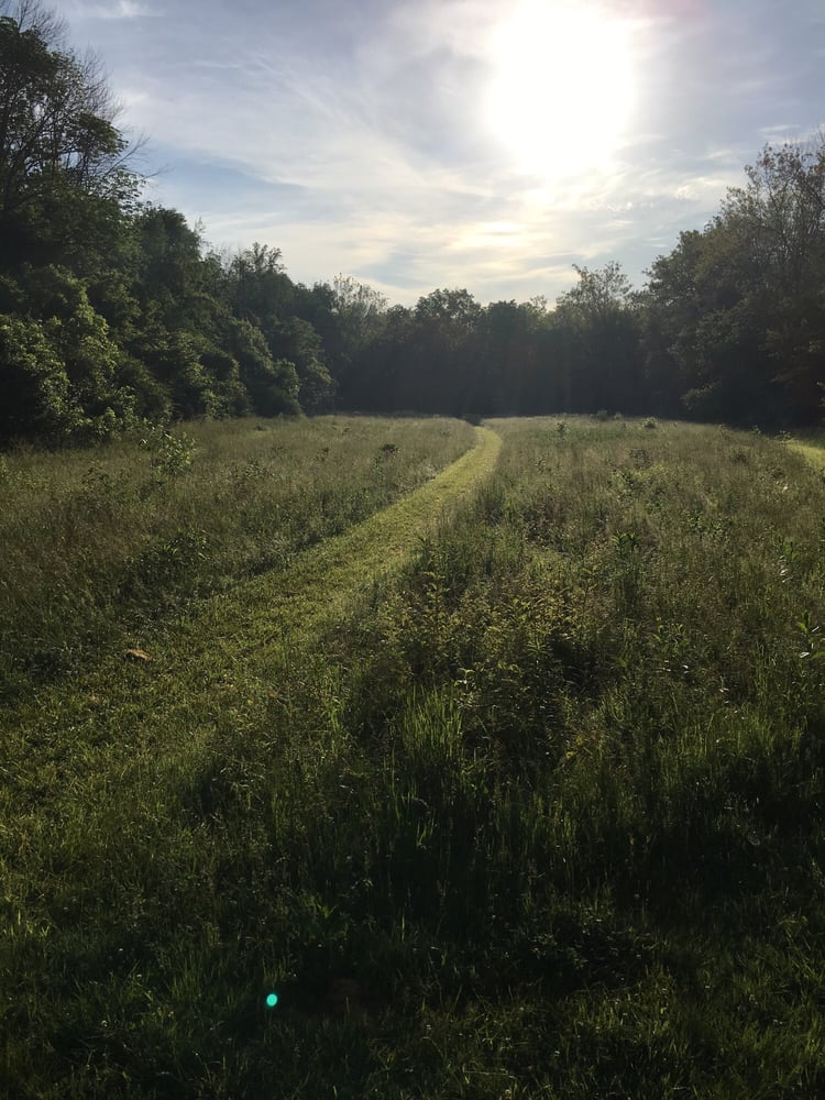 Bill Yeck Park 29 Photos Parks 2230 E Centerville Station Rd