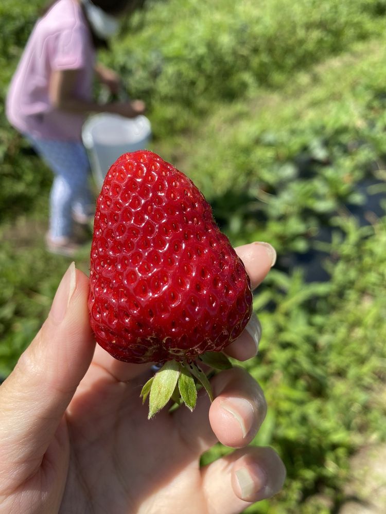 Lee’s Fresh Produce