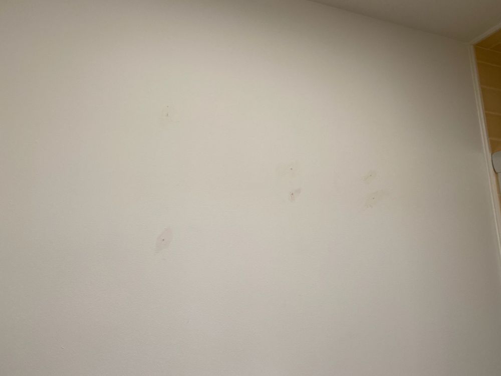image of business Mint Staging