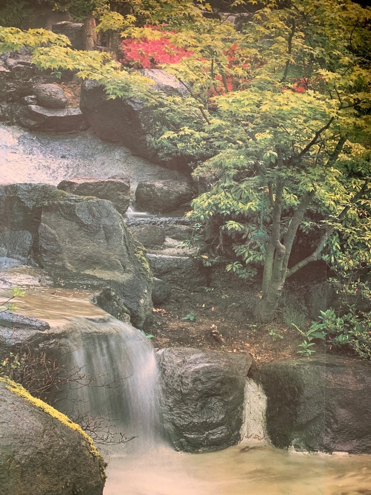 image of business Northpoint Dental Care