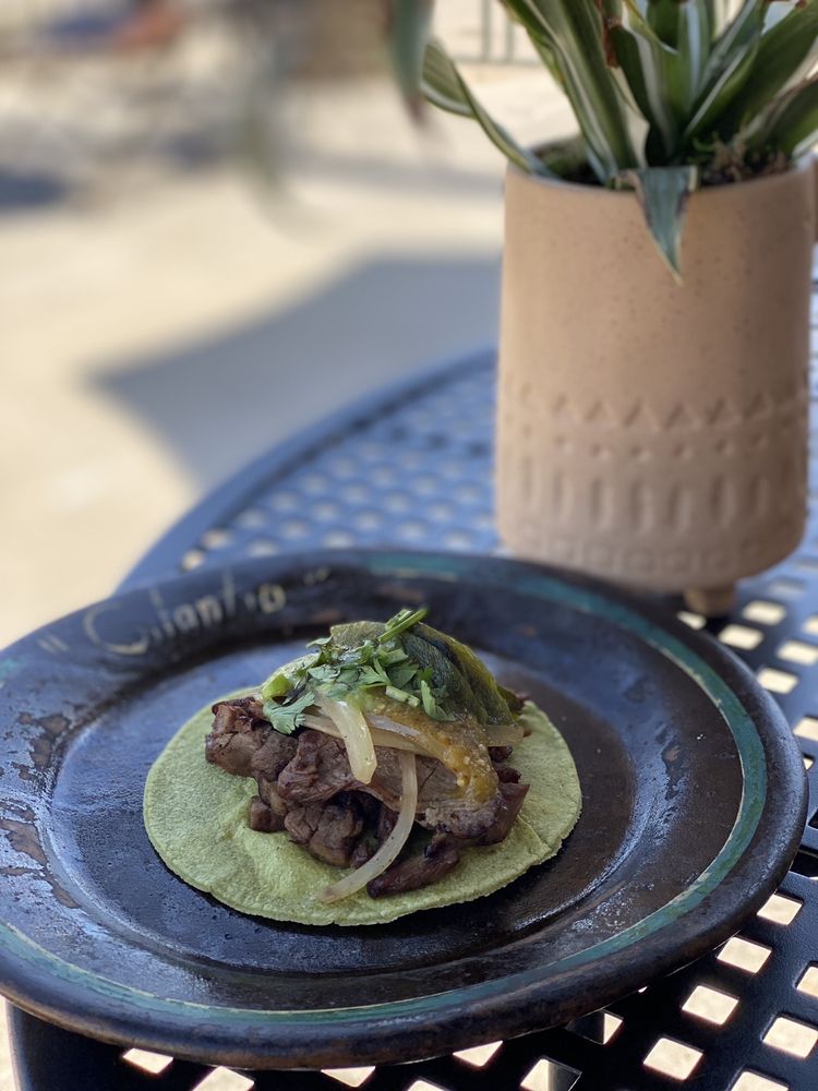 Cilantro
