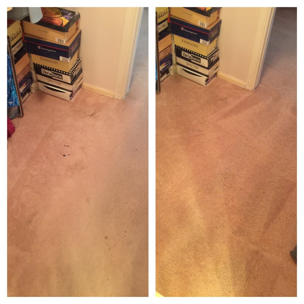 Peter's Steam Carpet Cleaning