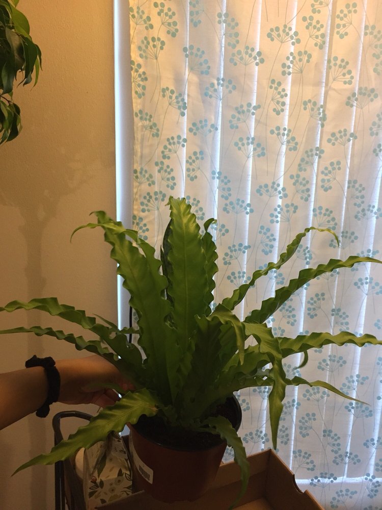 Palmer S Garden Goods 81 Photos 43 Reviews Nurseries
