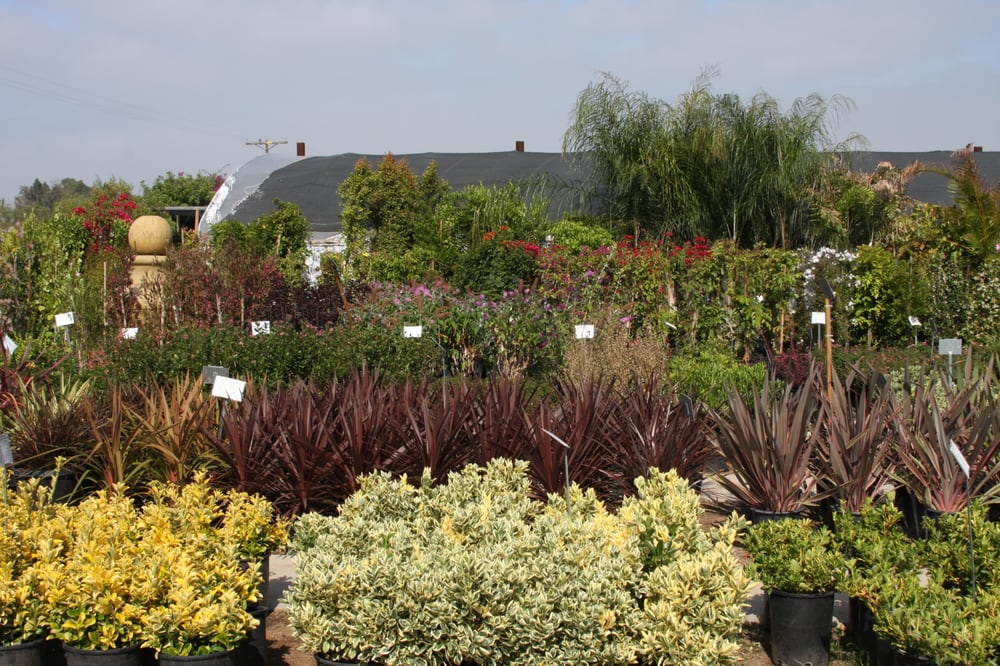 Terra Bella Nursery, Inc. 102 Photos & 78 Reviews Nurseries