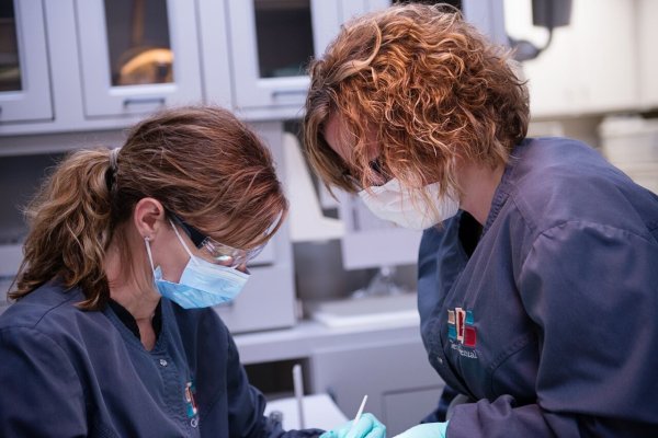 image of business Gentle Dental: Dr Tracy Garcia and Dr Kris Pollock