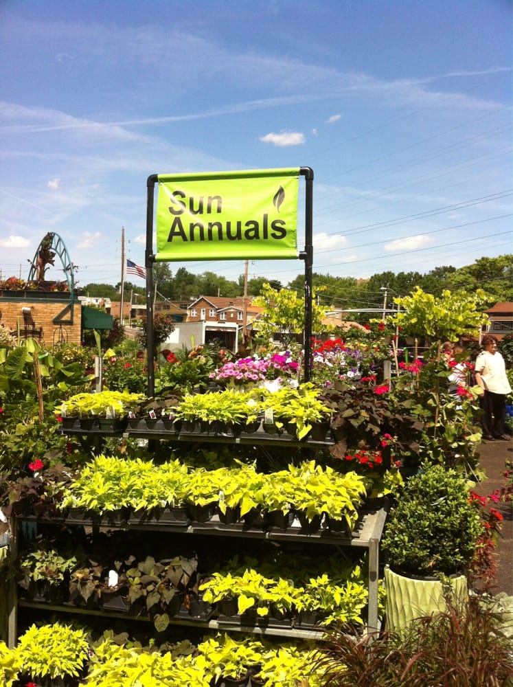 Garden Heights Nursery 77 Photos & 20 Reviews Nurseries & Gardening