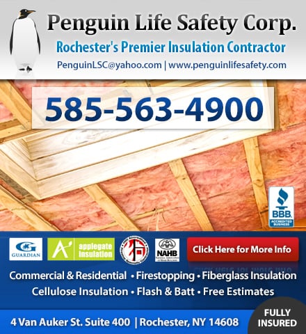 image of business Penguin Life Safety