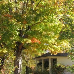 Hala’s Place - Request a Quote - Vacation Rentals - 3378 TN-304, Ten