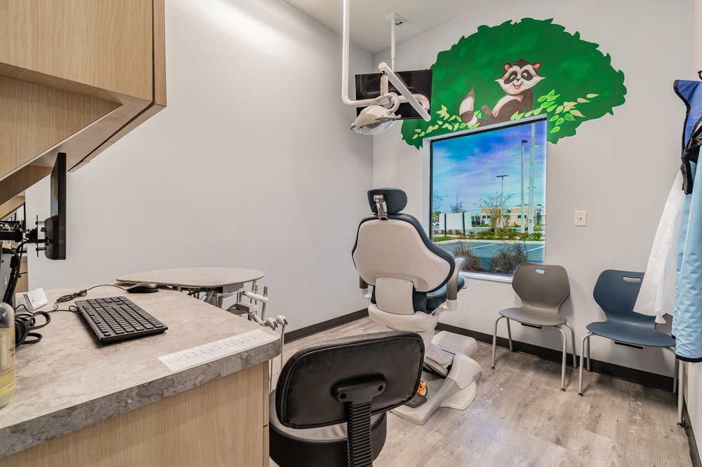 image of business Spring Hill Pediatric Dentistry