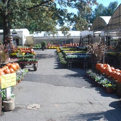 Meadows Farms Nurseries Route 7 34 Reviews Photo Of Meadows Farms Nurseries Route 7 Herndon Va United States