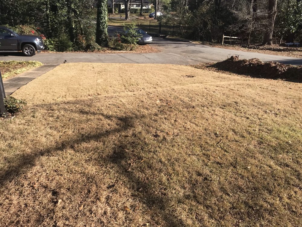 D. Mack Lawn Care Services