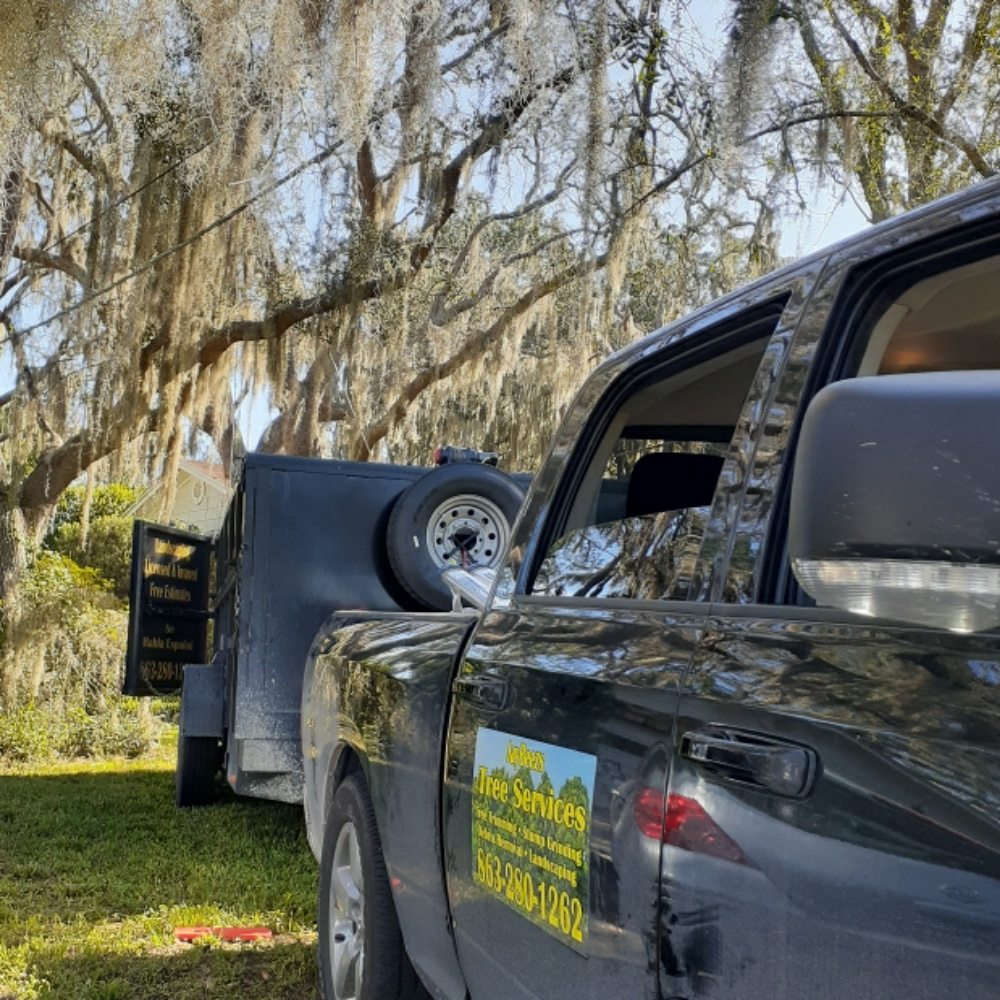 Jaybeezs Tree Services