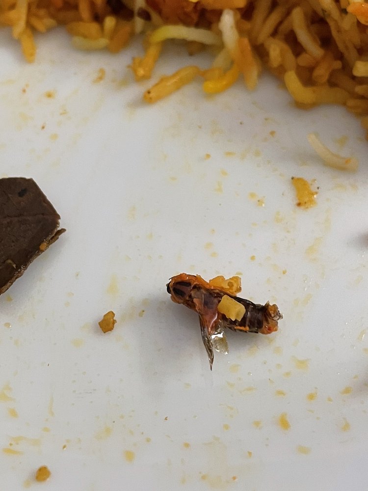 Peacock Indian Cuisine