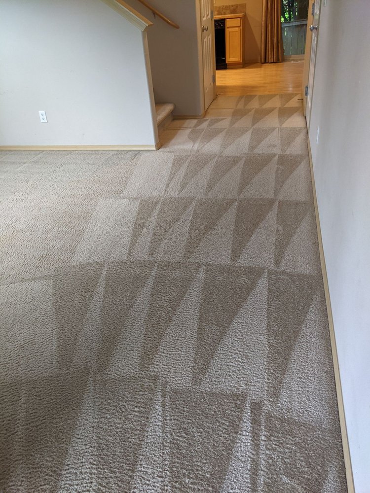 Evergreen Carpet Cleaning