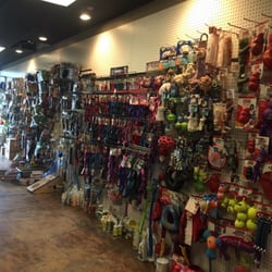 zany zoo pets 13 photos 20 reviews pet stores 4222 zany zoo pets 13 photos 20 reviews pet stores 4222