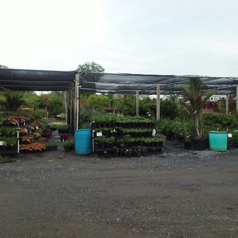 Shemin Nurseries Gardening 4100 Sandy Spring Rd Photo Of Shemin Nurseries Burtonsville Md United States Plants Galore