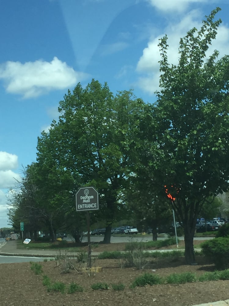 Dedham Mall Shopping Centers 300 Providence Hwy, Dedham, MA Phone