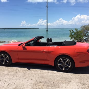 Alamo A Car 37 Photos 209 Reviews Al 3900 Nw Photo Of Alamo A Car Miami Fl United States Us Highway