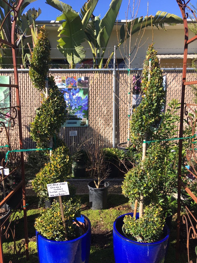 Cherry Lane Nursery 10 Photos & 11 Reviews Nurseries & Gardening 436 Traffic Way, Arroyo