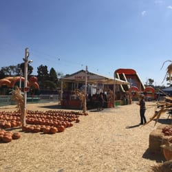 Pumpkin Patch In Vista Ca