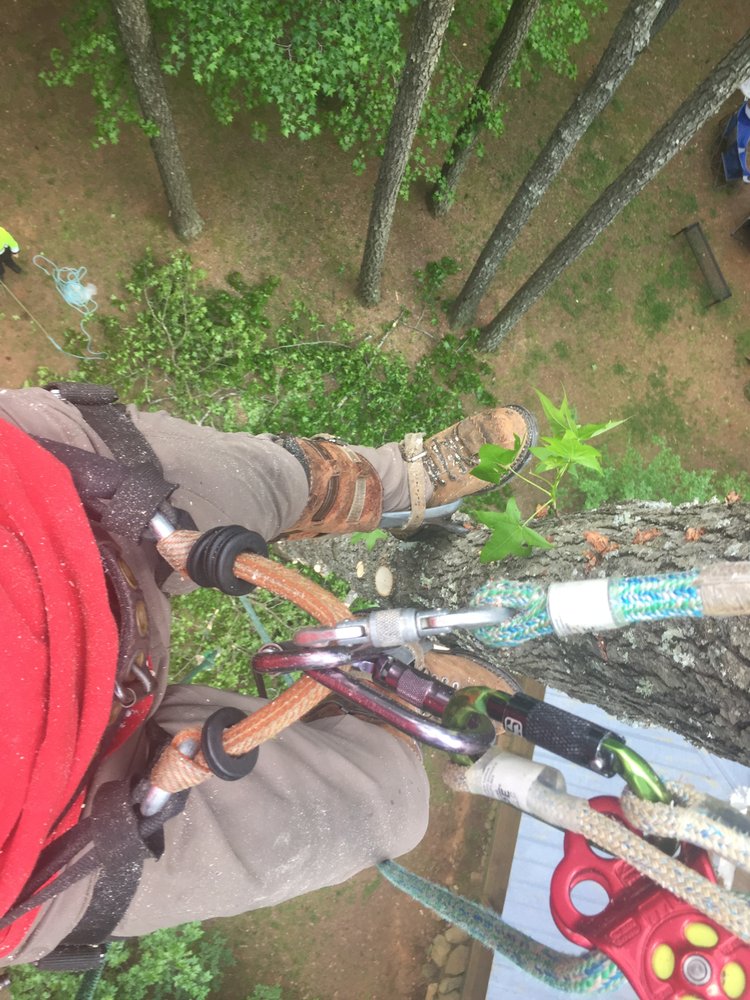 Parrish Tree Service