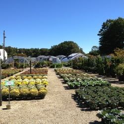 Mr Green Jeans Farm Market Nursery Farmers 214 State Photo Of Mr Green Jeans Farm Market Nursery Hammonton Nj United