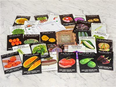 Susan's Edible Garden & Permaculture Design