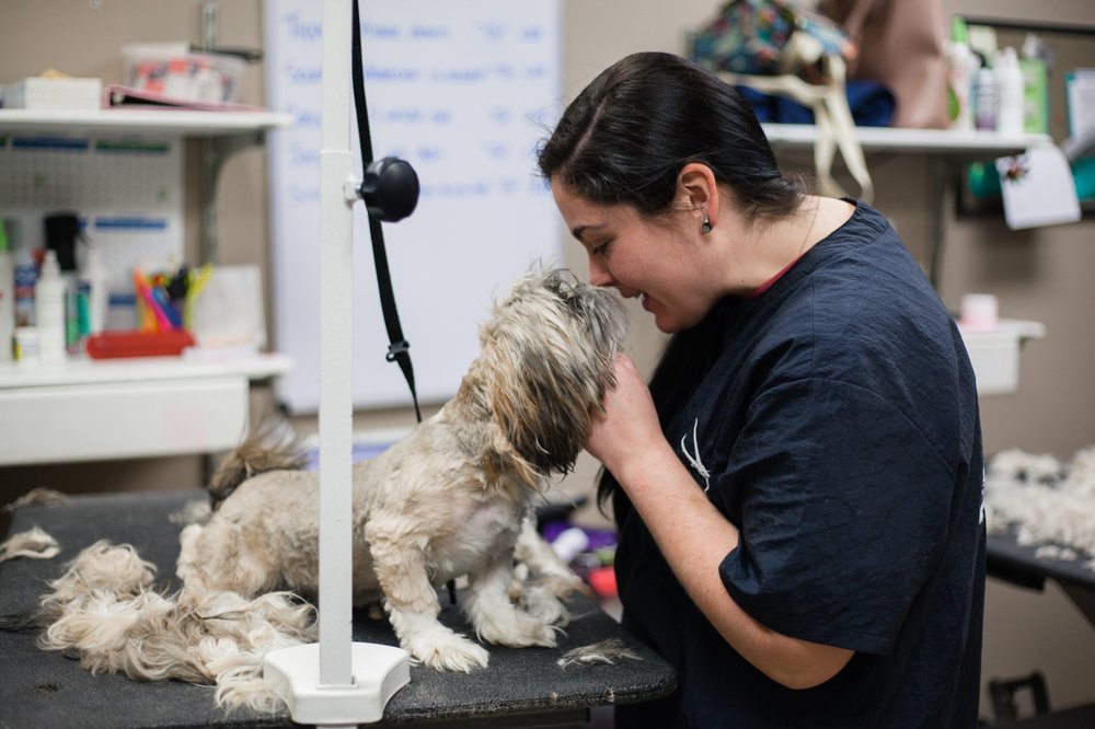 Animal Hospital Of Mebane
