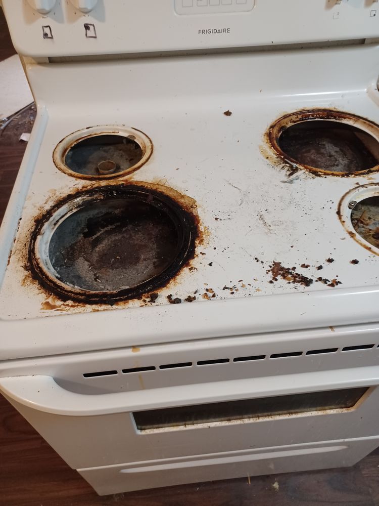 Carolina Prestine Clean