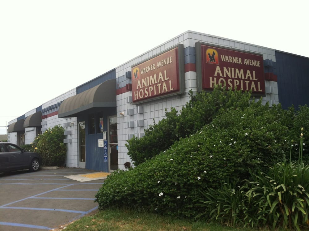 Warner Avenue Animal Hospital 8546 Warner Ave Fountain Valley Ca 92708