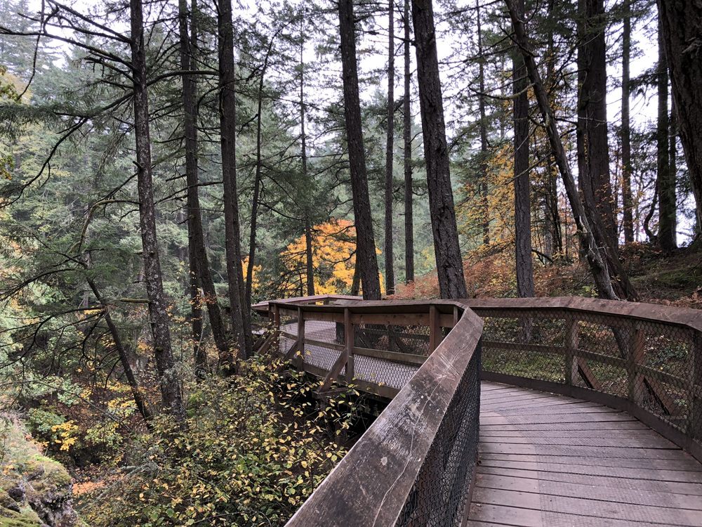 Witty's Lagoon Regional Park Nature House