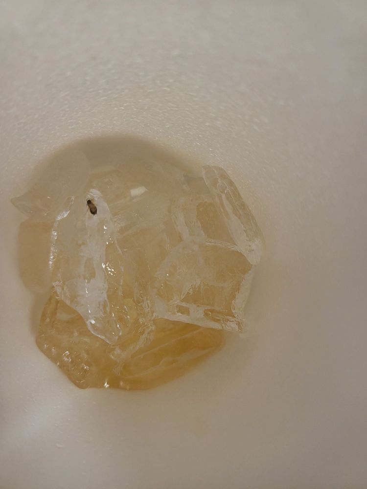 Country Fish Fry Ft Bragg Rd