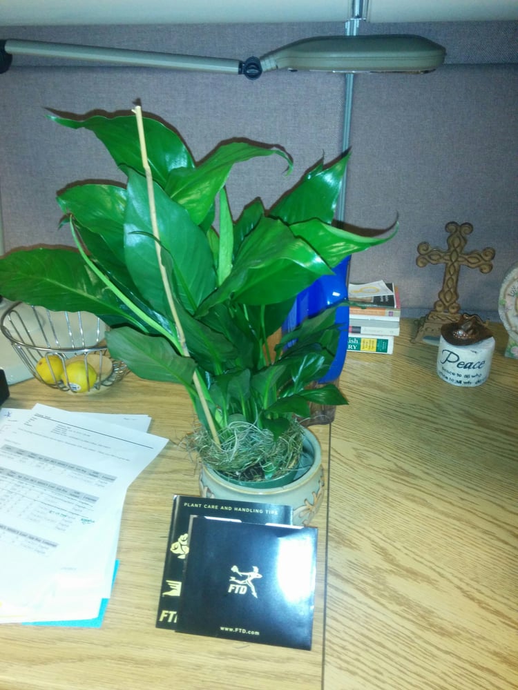 Lois P.'s Review of From You Flowers - New York (1/5) on Yelp