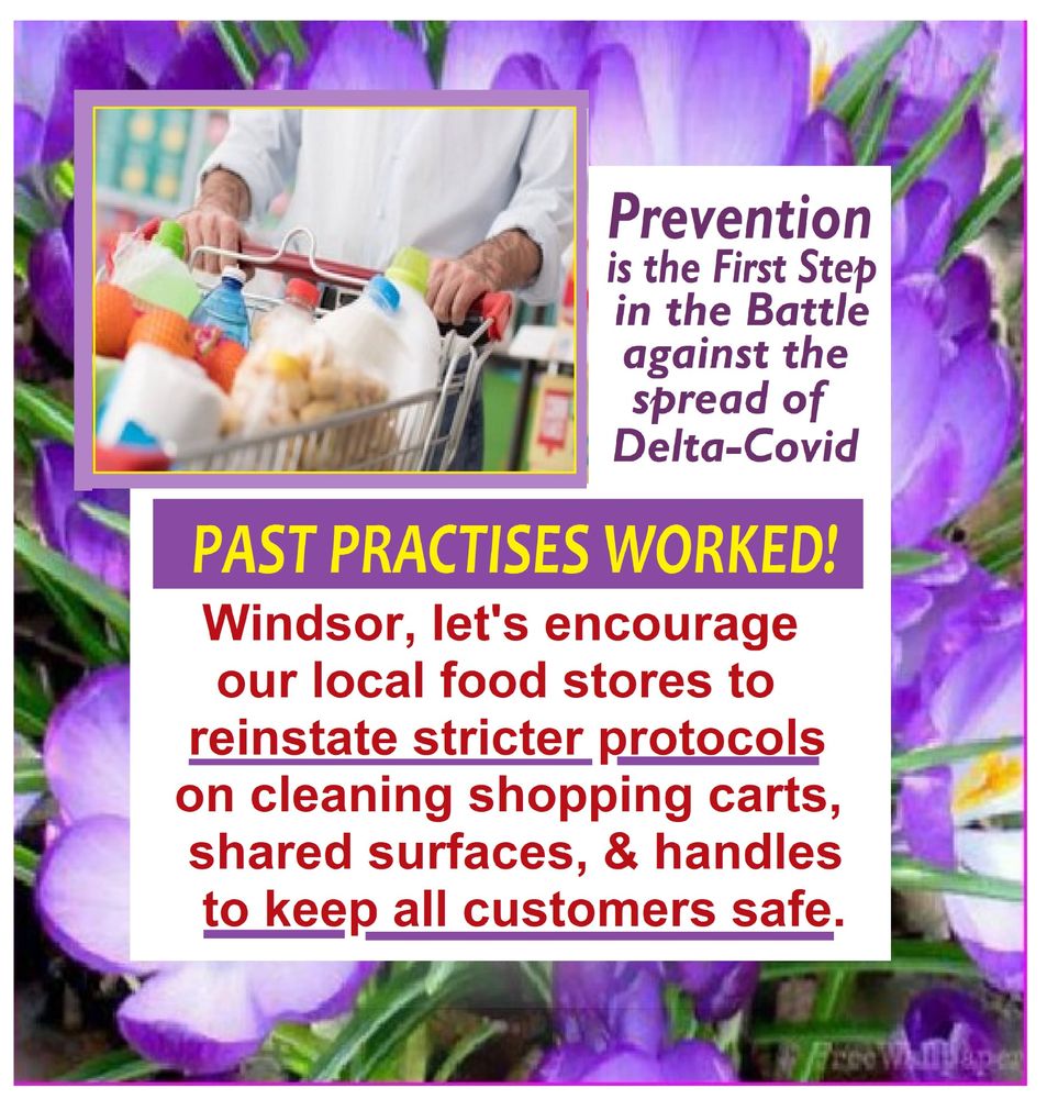 Food Basics