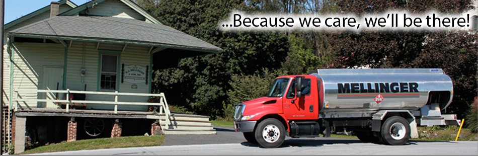 image of business BG Mellinger & Sons