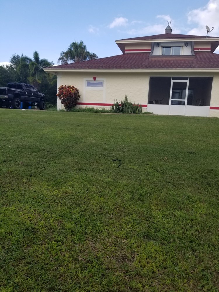 Economy Cut Lawn Care