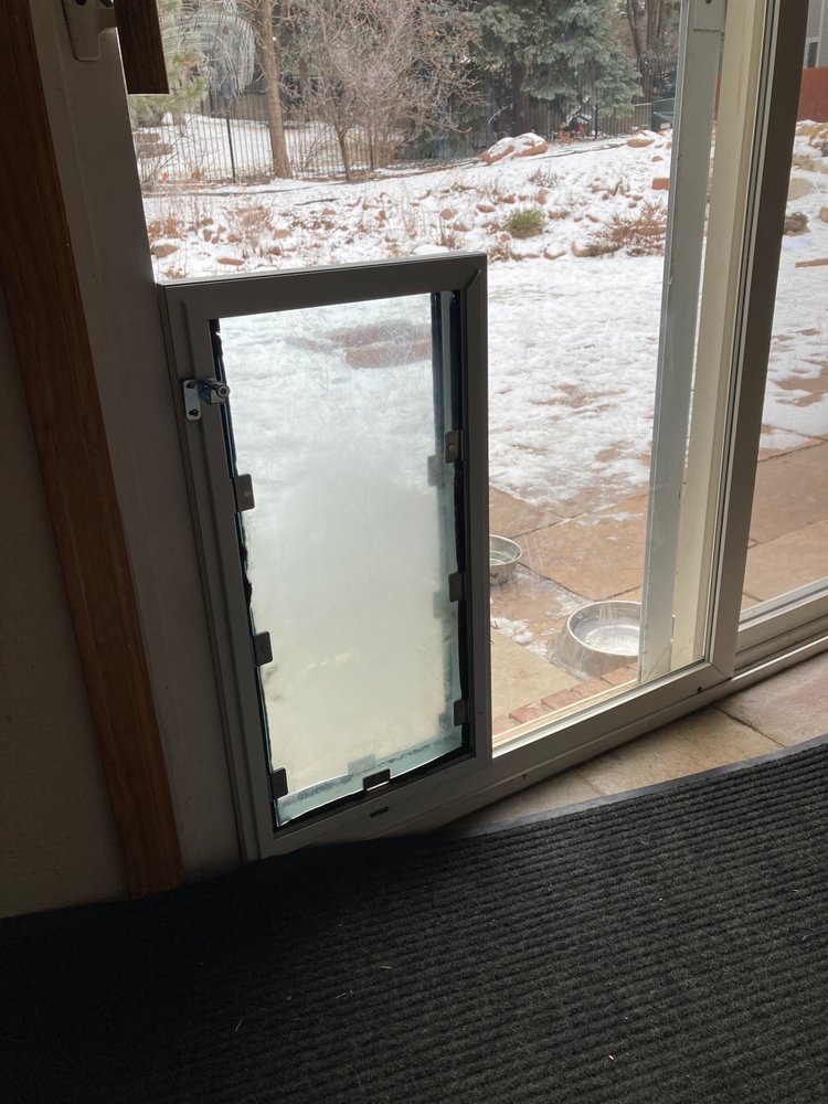 image of business Through the Glass Dog Doors