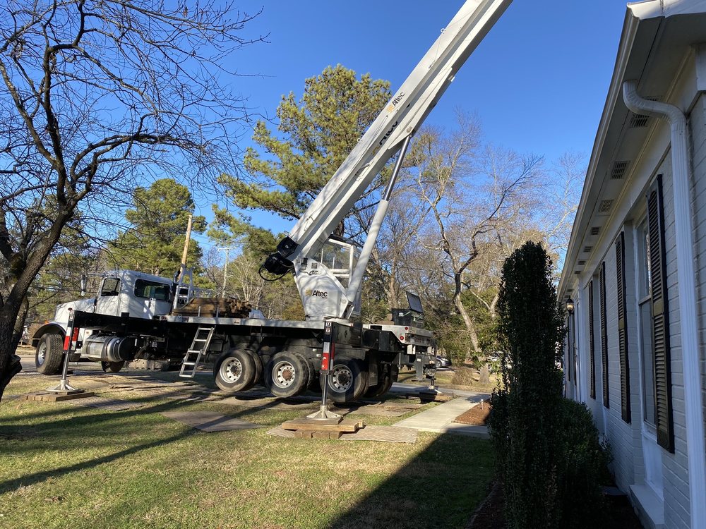 Mr. Beaver Tree Service