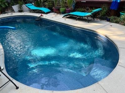 Pool Scouts of the Piedmont