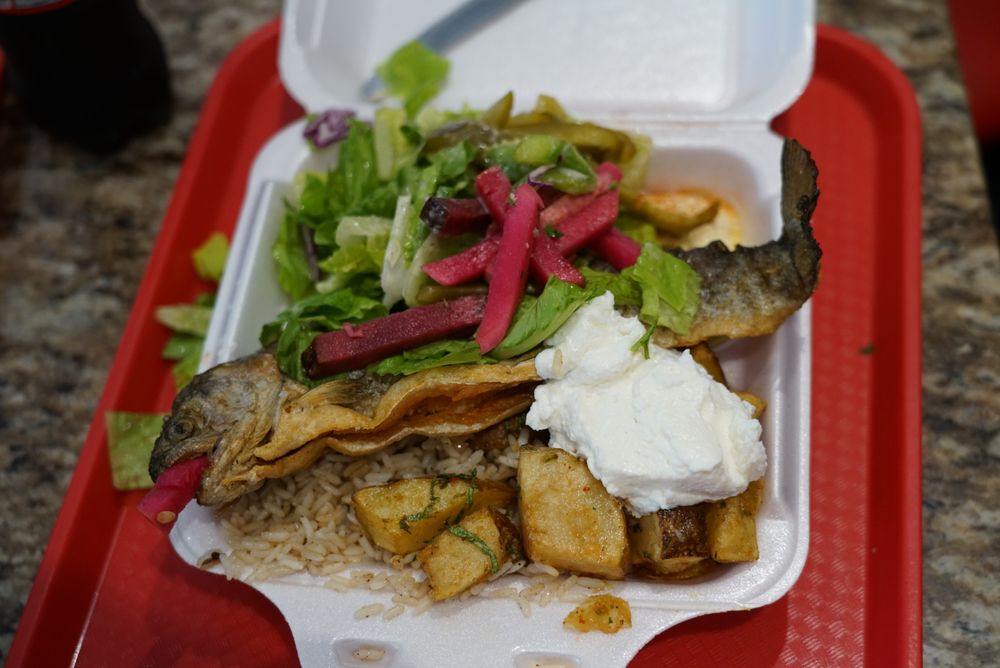 Shawarma Palace Shawarma Palace