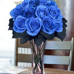 amazing flowers