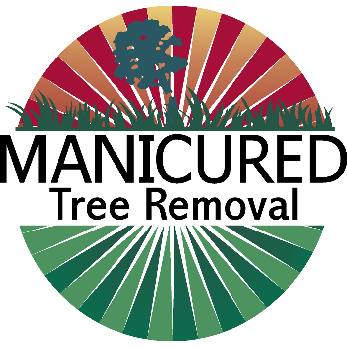 Manicured Tree Removal