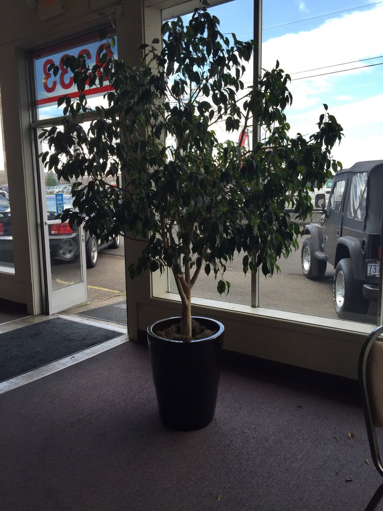 Vancouver Car Company 15 Photos Used Car Dealers 9333 NE Hwy 99