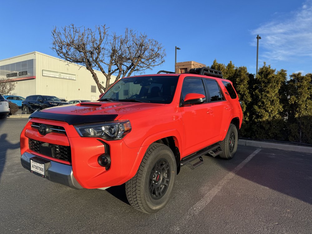 Shades Window Tinting